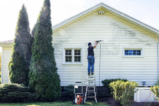Best Building Exterior Washing  in Mannington, WV